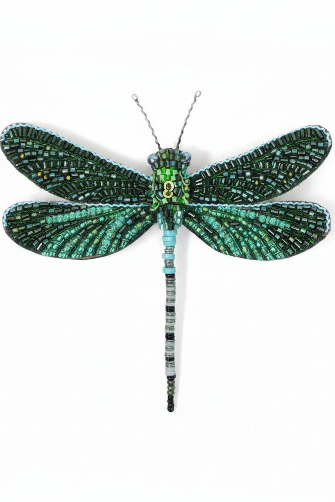 Pondhawk Dragonfly Brooch Pin Accessories Trovelore