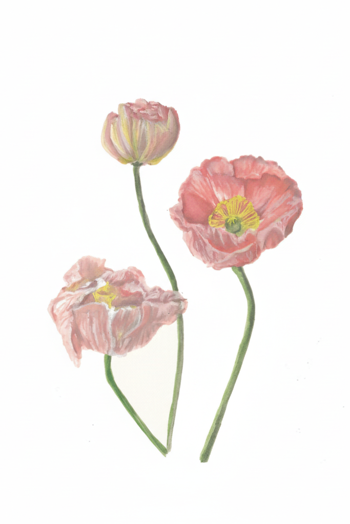 Greeting Cards by Christine Yao Greeting Card Christine Yao Poppy Flowers
