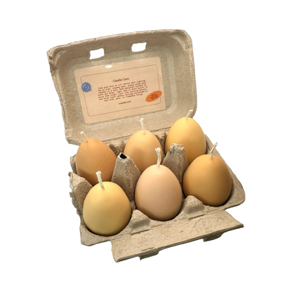 Egg Candles - 6 Pack Box Candles Scandles