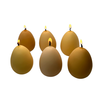 Egg Candles - 6 Pack Box Candles Scandles