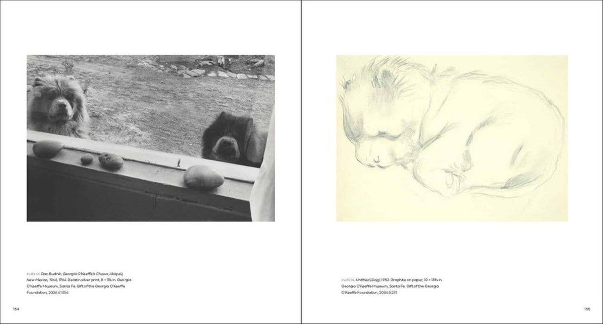 Georgia O'Keeffe, Photographer: W. W. Norton