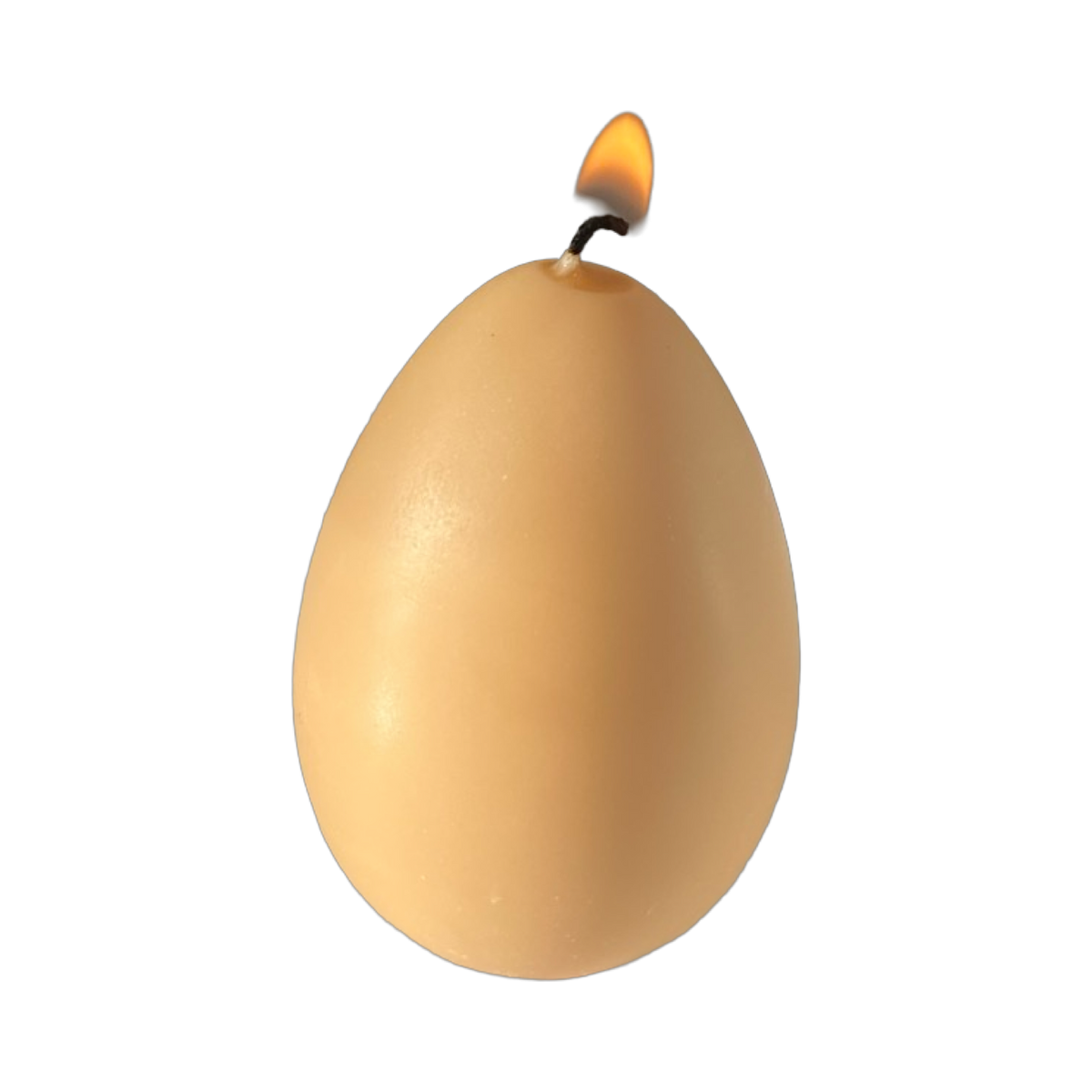 Egg Candles - 6 Pack Box Candles Scandles