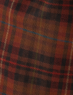 Sandy Pant in Fireside Plaid Wool