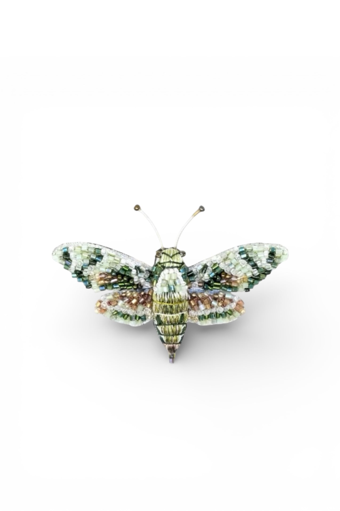 Hawk Moth Brooch Accessories Trovelore
