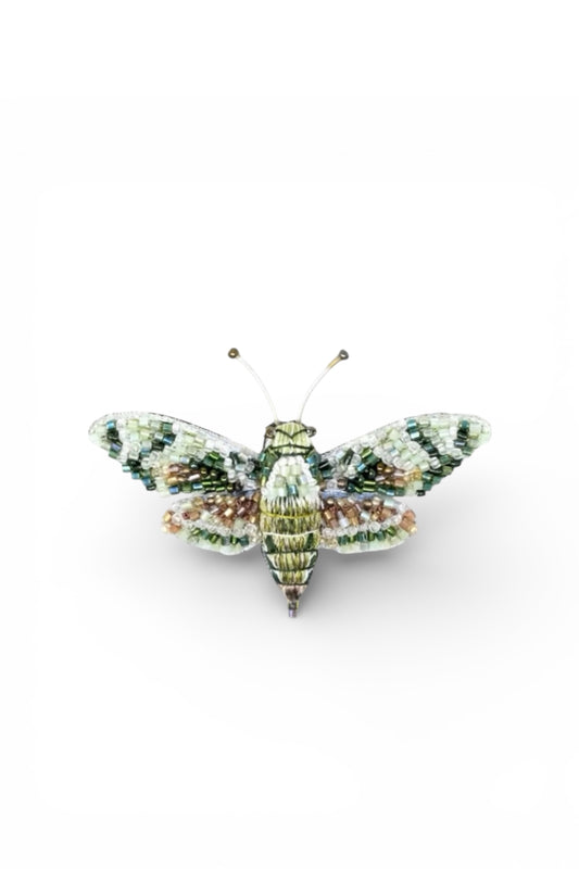Hawk Moth Brooch Accessories Trovelore