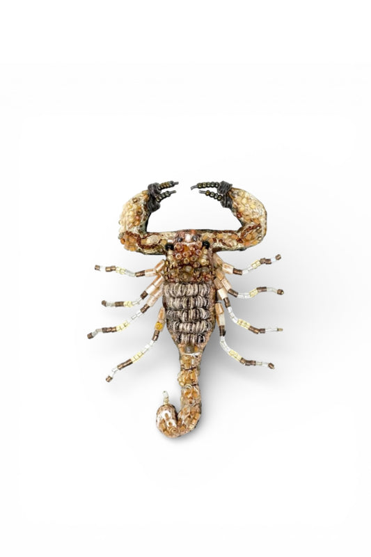 Desert Scorpion Brooch Pin Accessories Trovelore