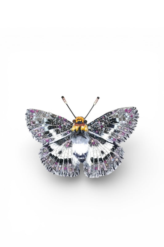 Yellow Breast Flat Butterfly Brooch Pin Accessories Trovelore