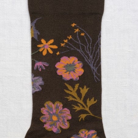 Herbier Terre d'Ombre Socks Socks Bonne Maison   