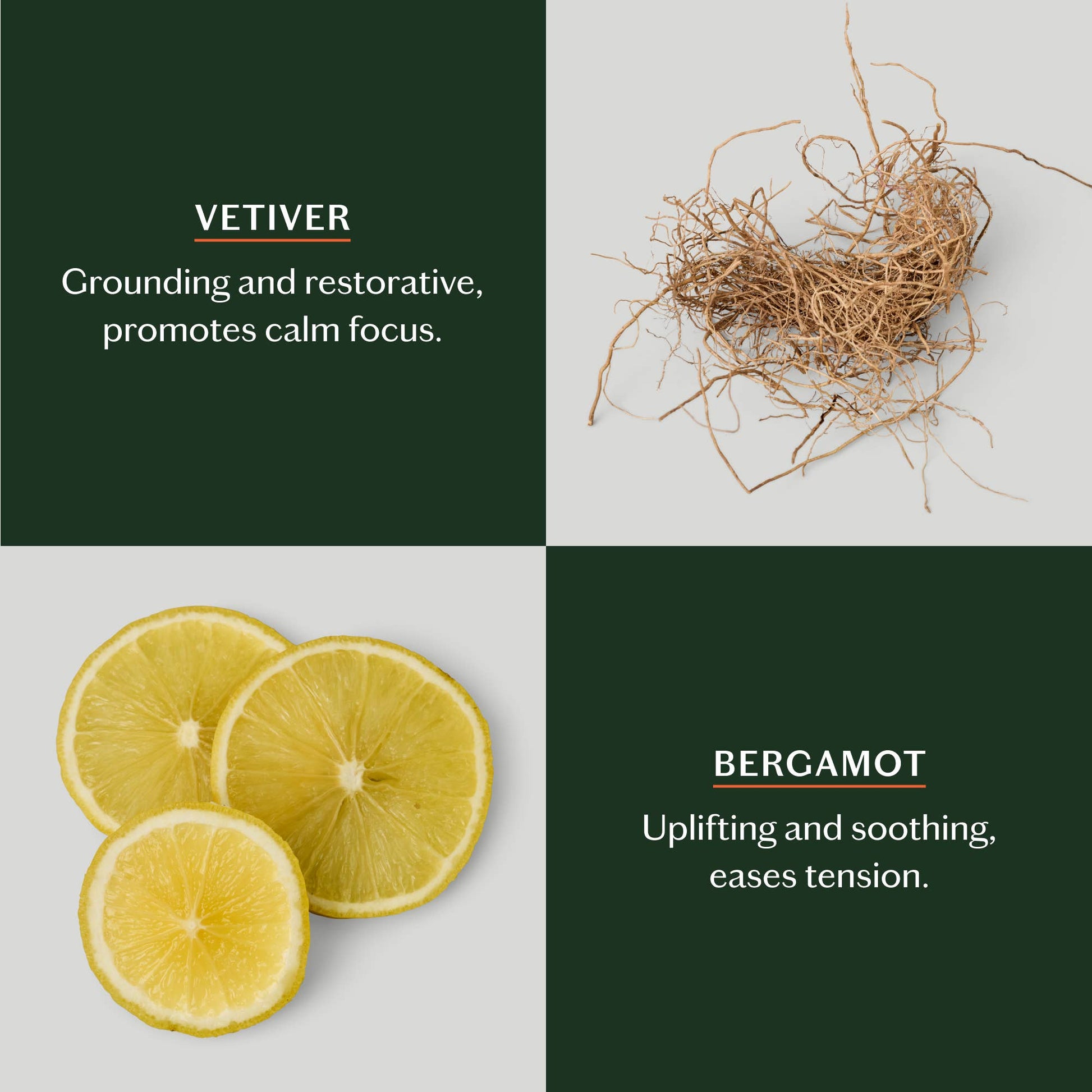 Grounding Stone | Deep Moisturizing Lotion Bar Beauty Kate McLeod