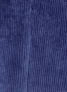 Zhenya Skirt in Corduroy Skirts CHRISTINE ALCALAY Navy 0