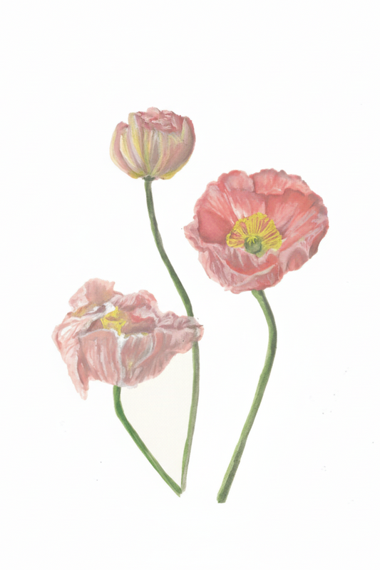 Greeting Cards by Christine Yao Greeting Card Christine Yao Poppy Flowers