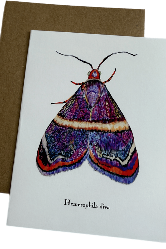 Lepidoptera Greeting Cards by C. Yao Greeting Card Christine Yao Hemerophila Diva