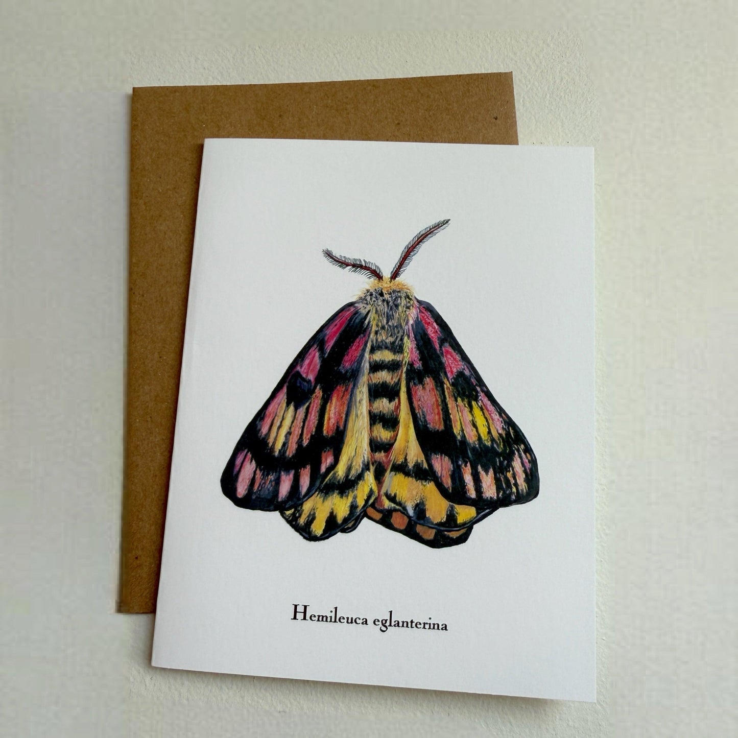 Lepidoptera Greeting Cards by C. Yao  Christine Yao Hemileuca Eglanterina  