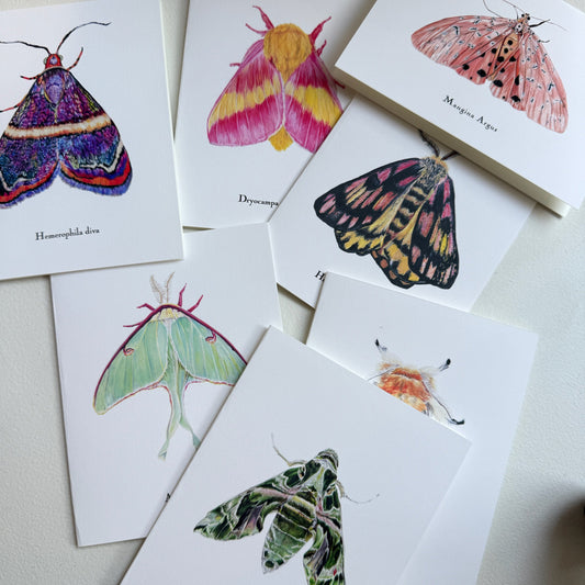 Lepidoptera Greeting Cards by C. Yao Greeting Card Christine Yao