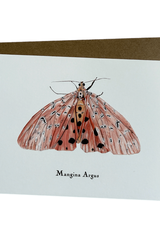 Lepidoptera Greeting Cards by C. Yao Greeting Card Christine Yao Mangina Argus