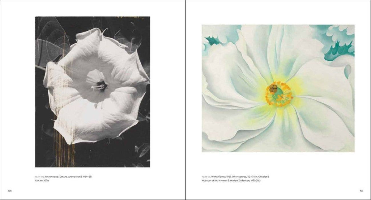 Georgia O'Keeffe, Photographer: W. W. Norton