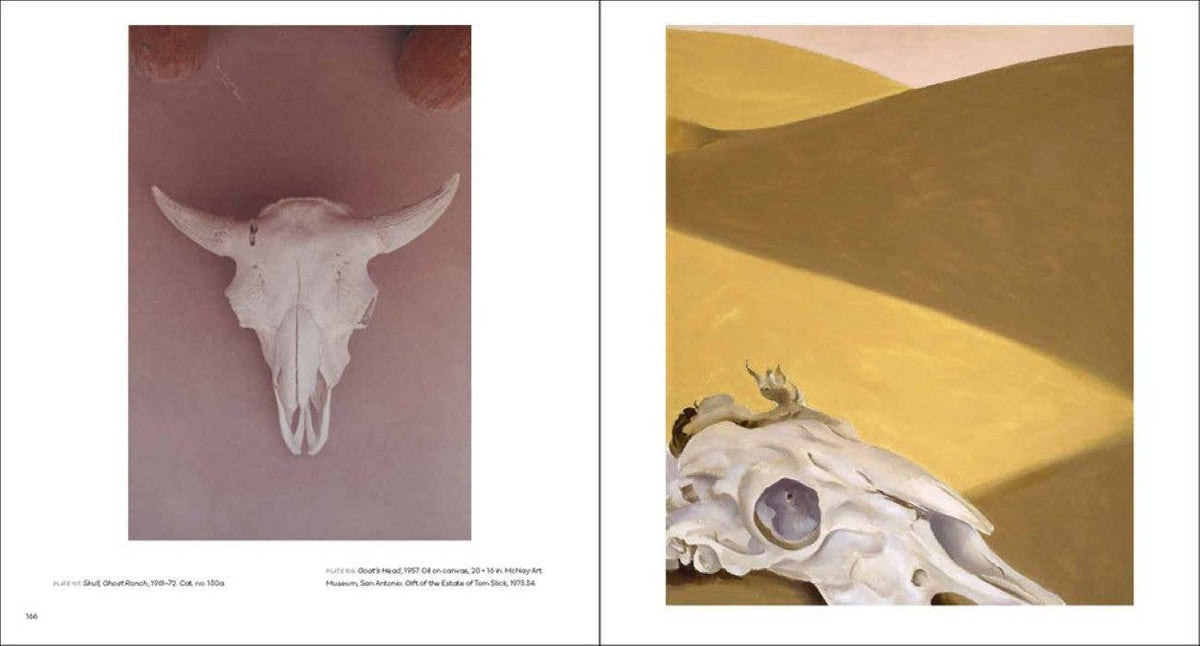Georgia O'Keeffe, Photographer: W. W. Norton