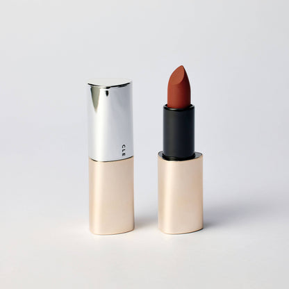 Barely Said Lipstick Beauty CLE Cosmetics
