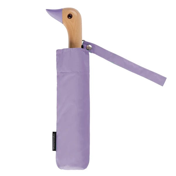 Compact Duck Umbrellas Accessories Original Duckhead US Lilac  