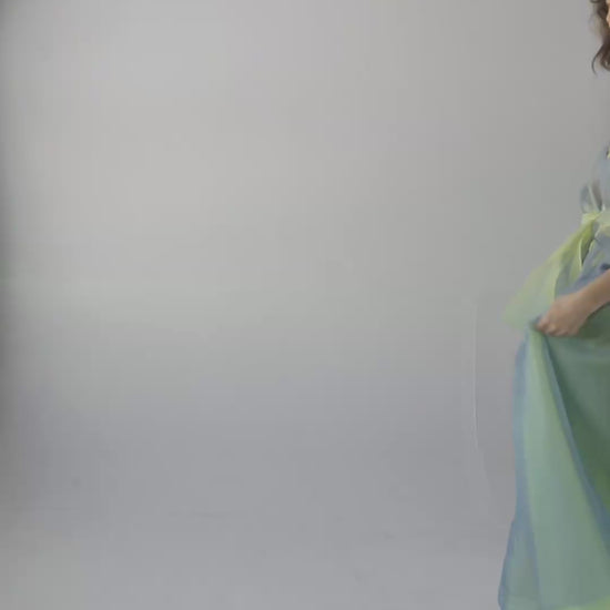 Coclico Dress in Silk Organza Dresses CHRISTINE ALCALAY
