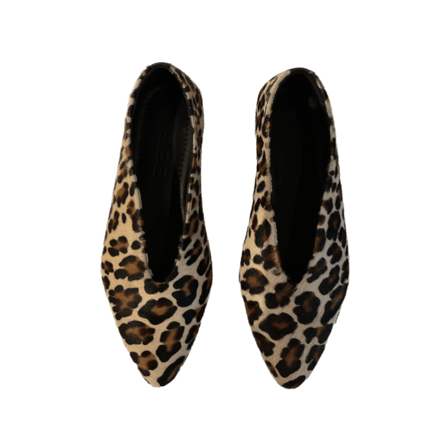 Savannah Shoe in Leopard Shoes Sesa