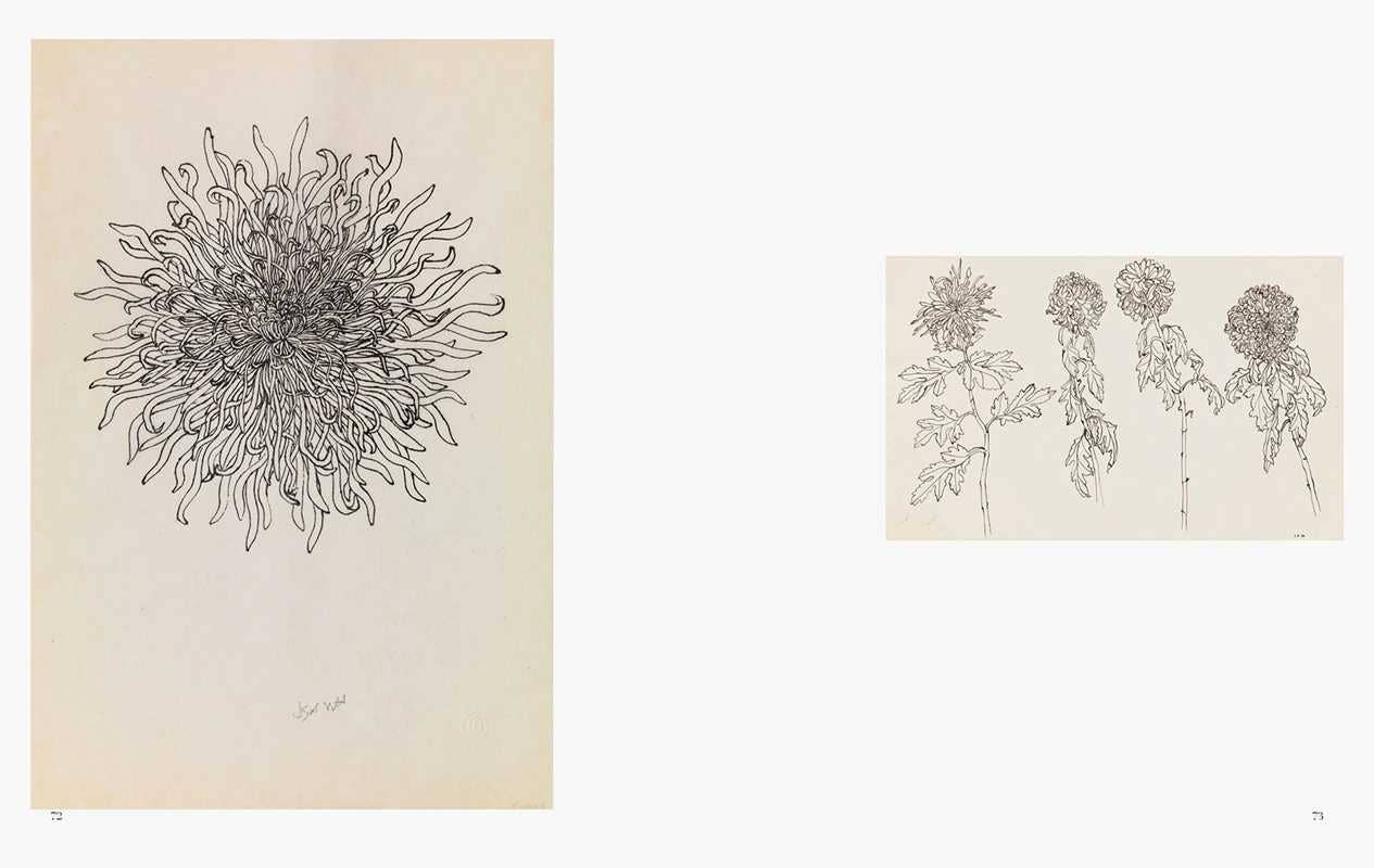 Ruth Asawa: All Is Possible by Ruth Asawa Books Simon & Schuster