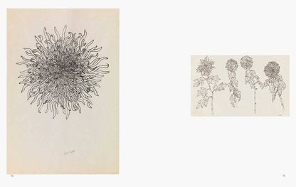 Ruth Asawa: All Is Possible by Ruth Asawa Books Simon & Schuster