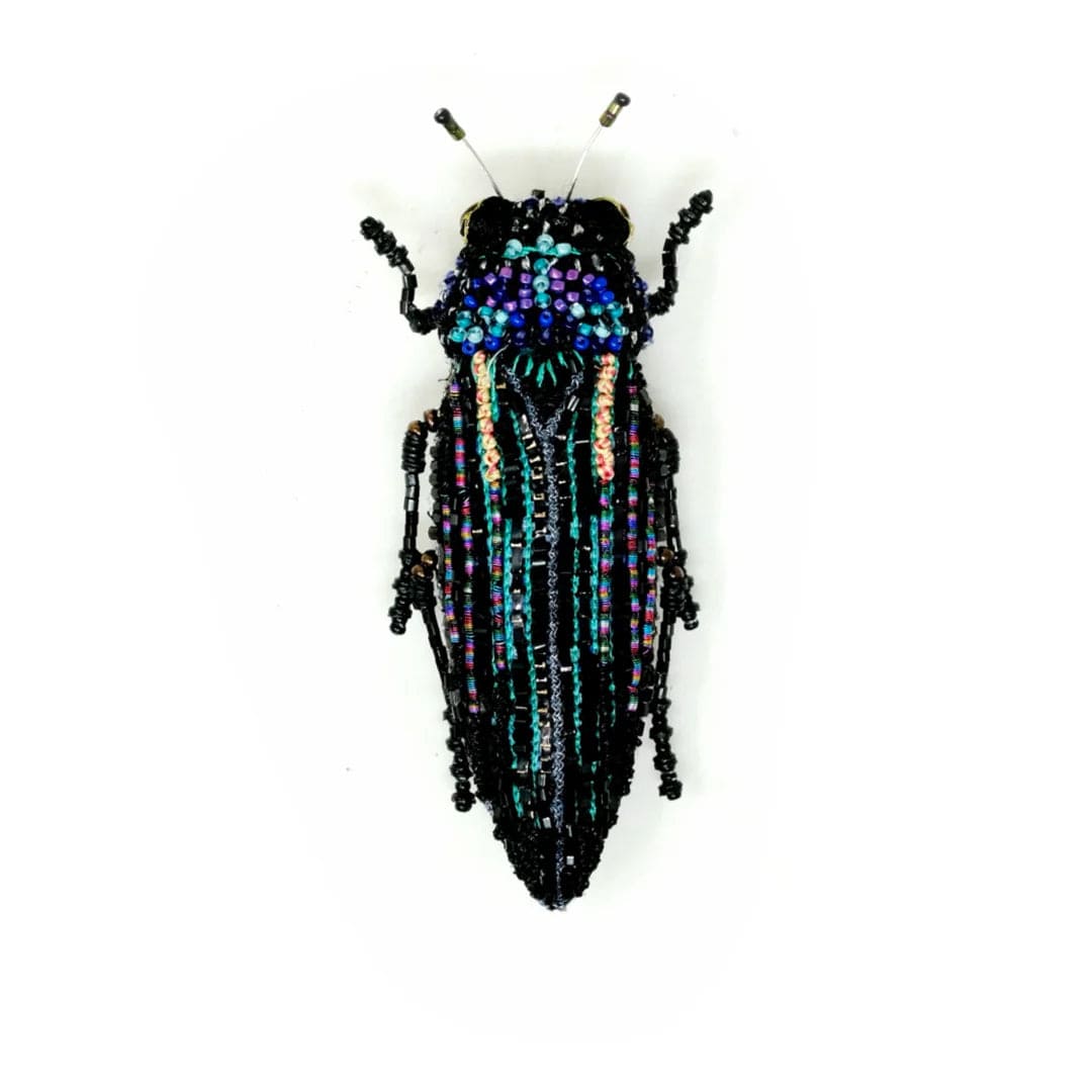 Noir Beetle Brooch Pin Accessories Trovelore   