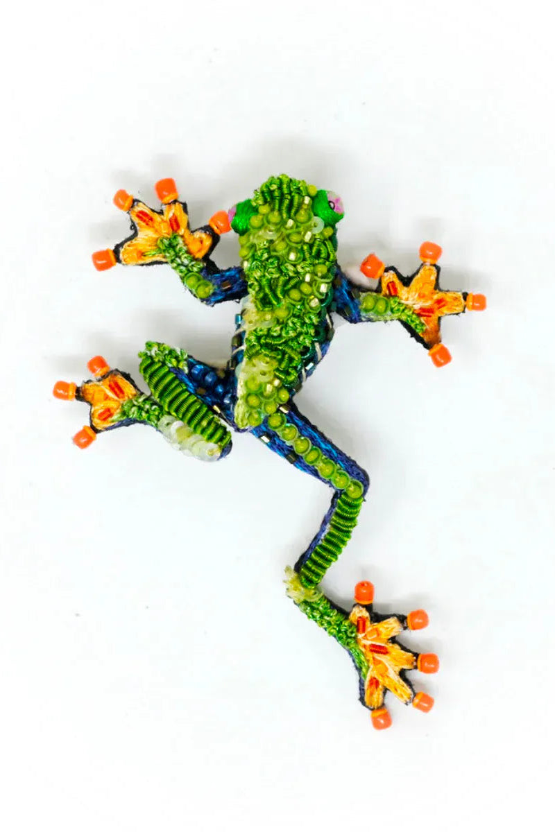 Red Eyed Tree Frog Brooch Pin Accessories Trovelore