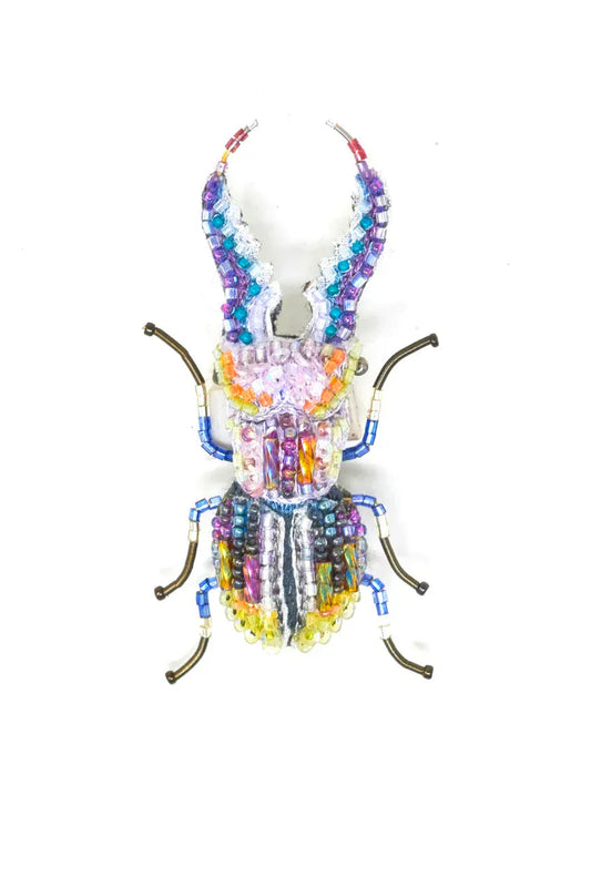 Stag Pincer Beetle Brooch Pin Accessories Trovelore