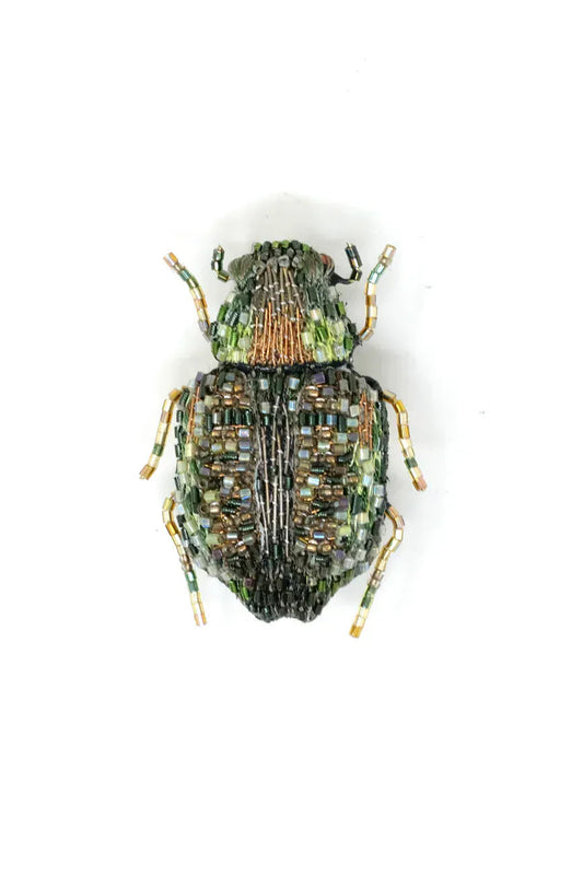 Vintage Chafer Brooch Pin Accessories Trovelore