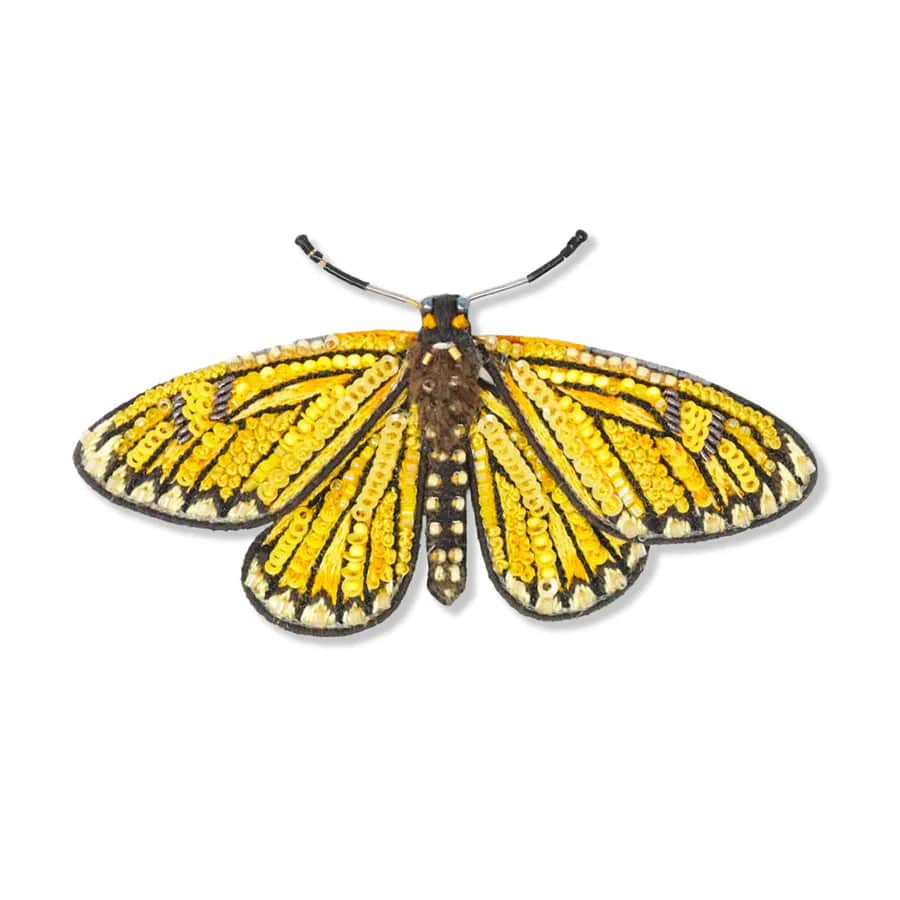 Yellow Coster Butterfly Brooch Pin Accessories Trovelore   